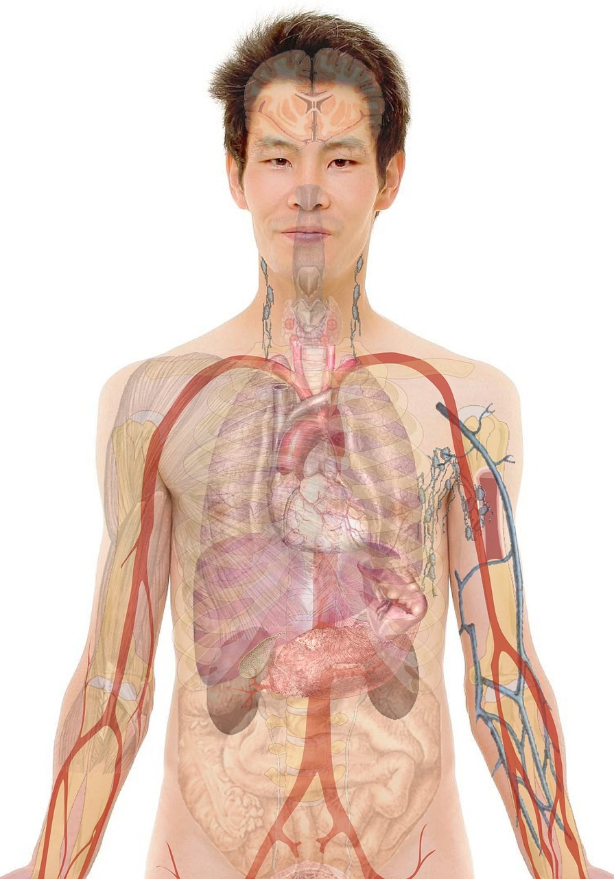 看護の新卒志望動機を効果的に伝える方法は？